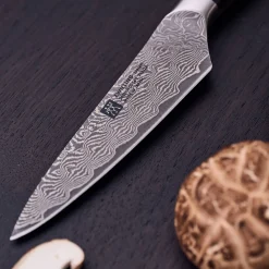 Spick & Garniermesser 10 cm