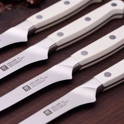 Steakmesserset 4-tlg