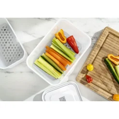 Vakuum Zubeh&ouml;rset Abtropfgitter für Kunststoffboxen , M/L / 2-tlg